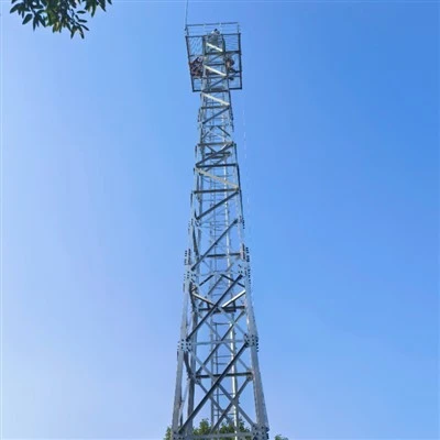 Security Tower